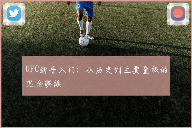 UFC新手入门:从历史到主要量级的完全解读