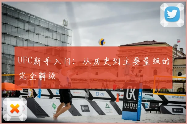 UFC新手入门:从历史到主要量级的完全解读
