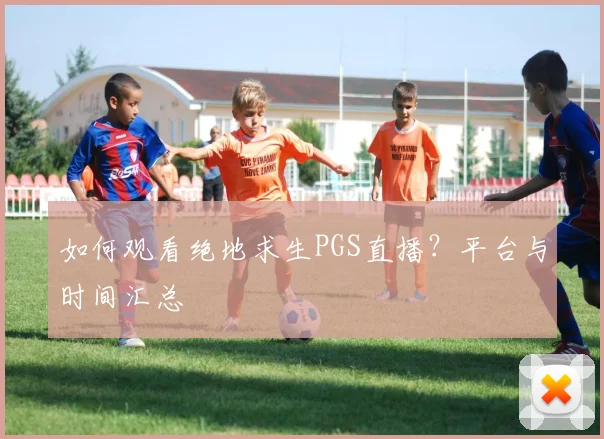 如何观看绝地求生PGS直播？平台与时间汇总